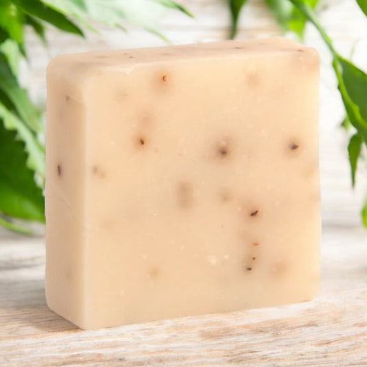 Eucalyptus Aloe | Soap Bar